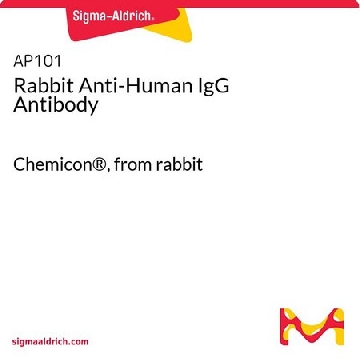 兔抗人IgG抗体，2MG，AP101，Sigma