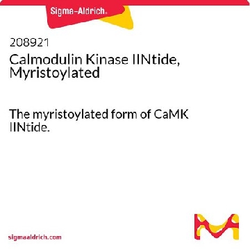 Calmodulin Kinase IINtide, Myristoylated，1MG，208921-1MGCN，Sigma