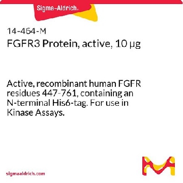 FGFR3 Protein, active, 10 µg，10UG，14-464，Sigma