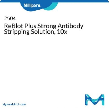 ReBlot Plus强抗体剥离液，10x，50ML，2504，密理博