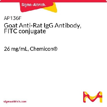 山羊抗大鼠IgG抗体，FITC偶联物，2MG，AP136F，Sigma