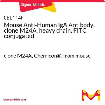 小鼠抗人IgA抗体，克隆M24A，重链，FITC偶联，1ML，CBL114F，Sigma