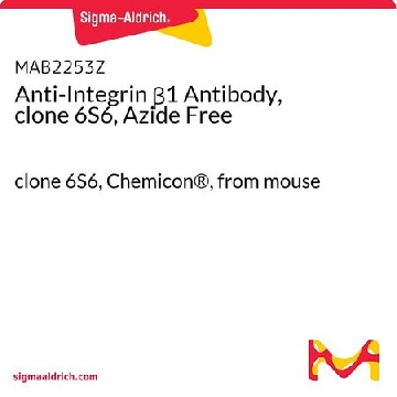 Anti-Integrin β1 Antibody, clone 6S6, Azide Free，100UG，MAB2253Z，Sigma