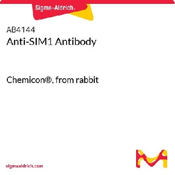 抗-SIM1抗体，100UG，AB4144，Sigma