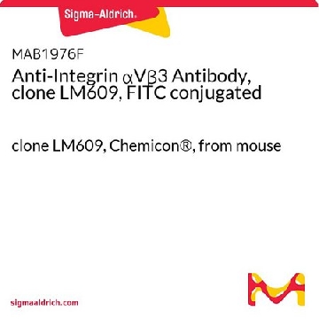 抗整合素αVβ 3抗体（克隆LM609，FITC 偶联物），100UG，MAB1976F，Sigma