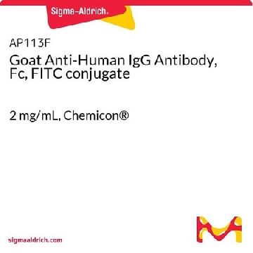 山羊抗人IgG抗体，Fc，FITC 偶联，2MG，AP113F，Sigma