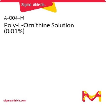 聚-L-鸟氨酸溶液（0.01%），100ML，A-004-C，Sigma