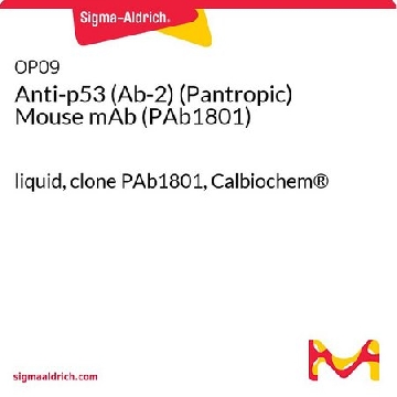 Anti-p53 (Ab-2) (Pantropic) Mouse mAb (PAb1801)，100UG，OP09-100UGCN，Sigma