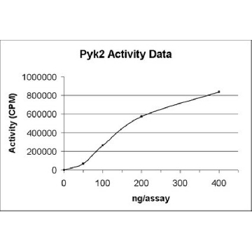 Pyk2 Protein, active, 10 µg，10UG，14-567，Sigma