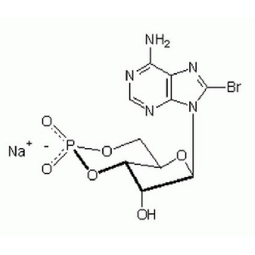 Adenosine 3′,5′-cyclic Monophosphate, 8-Bromo-, Sodium Salt，10MG，203800-10MGCN，Sigma