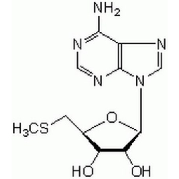 5′-脱氧-5′-甲硫腺苷，50MG，260585-50MGCN，Sigma
