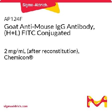 山羊抗小鼠IgG抗体，（H + L）FITC偶联，2MG，AP124F，Sigma