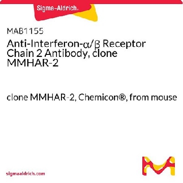 抗干扰素-α/β受体链 2 抗体，克隆 MMHAR-2，50UG，MAB1155，Sigma