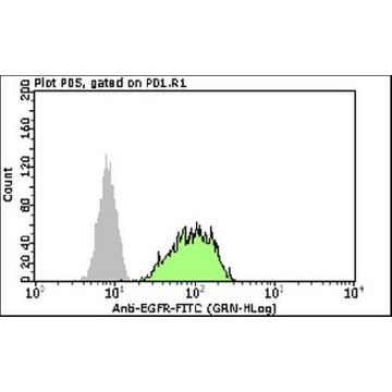 Milli-Mark® Anti-EGFR-FITC Antibody，100TESTS，FCABS254F，Sigma