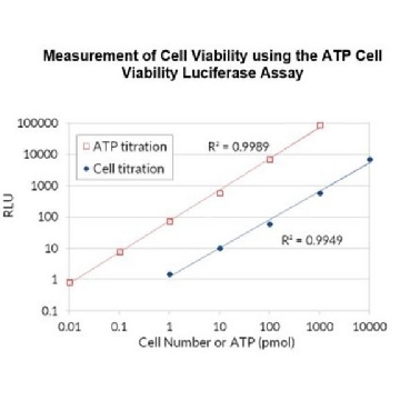ATP Cell Viability Luciferase Assay，1KIT，SCT149，Sigma