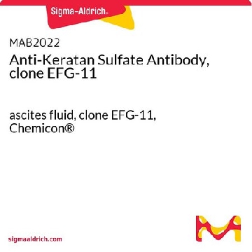 抗角蛋白硫酸盐抗体，克隆EFG-11，100UL，MAB2022，Sigma