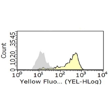 Anti-FcγRII (human) Antibody, clone AT10，100UG，MABF925，Sigma