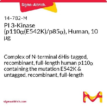 PI 3-激酶（p110α(E542K)/p85α），人，10 µg，10UG，14-782，Sigma