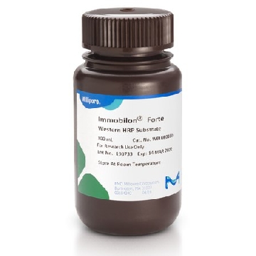 Immobilon Forte Western HRP 底物, 100 mL，500ML，WBLUF0500，密理博