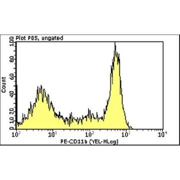 Milli-Mark® Anti-CD11B-PE Antibody, clone 2LPM19c，100TESTS，FCMAB178P，Sigma