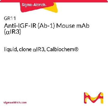 Anti-IGF-IR (Ab-1) Mouse mAb (αIR3)，100UG，GR11-100UGCN，Sigma