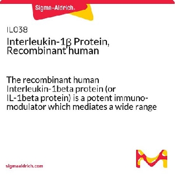 白细胞介素-1β蛋白，重组人类，10UG，IL038，Sigma
