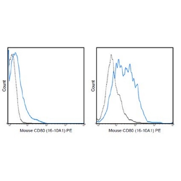 Anti-CD80 (B7-1) Antibody (mouse), PE, clone 16-10A1，100UG，MABF455，Sigma