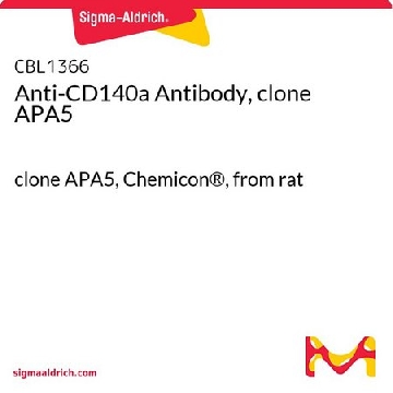 Anti-CD140a Antibody, clone APA5，100UG，CBL1366，Sigma