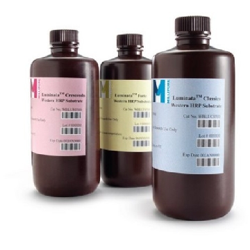 Immobilon Forte Western HRP底物，20 mL，20ML，WBLUF0020，密理博