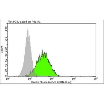 Anti-TRA-2-49 Antibody, Liver/Bone/Kidney Alkaline Phosphatase, clone TRA-2-49/6E，100UG，MAB4349，Sigma