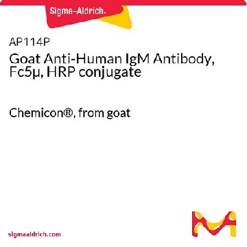 山羊抗人IgM抗体，Fc5µ，HRP偶联，2ML，AP114P，Sigma