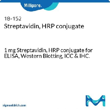 链霉亲和素，HRP 结合物，1MG，18-152，密理博