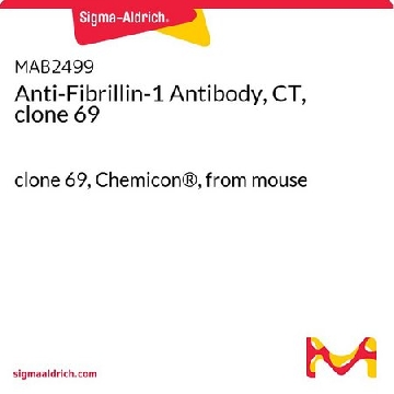 Anti-Fibrillin-1 Antibody, CT, clone 69，100UG，MAB2499，Sigma