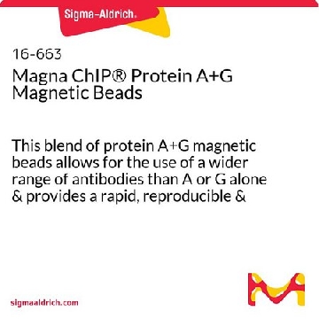 Magna ChIP® 蛋白A+G磁珠，50REACTIONS，16-663，Sigma