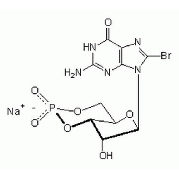 Guanosine 3′,5′-cyclic Monophosphate, 8-Bromo-, Sodium Salt，25MG，203820-25MGCN，Sigma