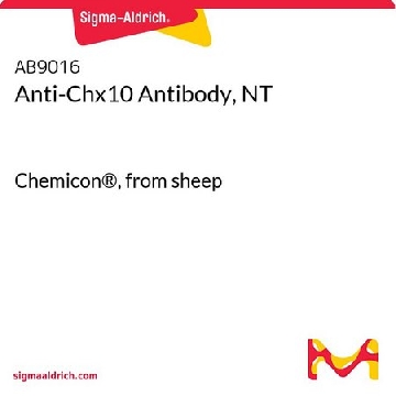 抗-Chx10抗体，NT，250UG，AB9016，Sigma