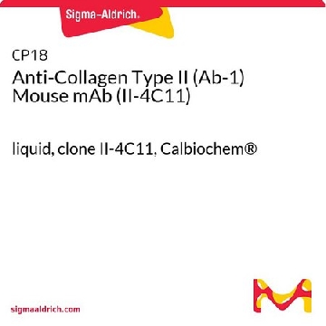 抗胶原II型（Ab-1）小鼠mAb（II-4C11），100UG，CP18-100UGCN，Sigma