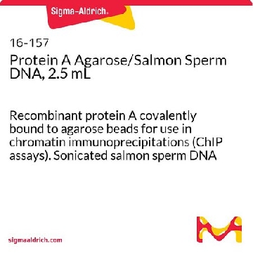 蛋白质A琼脂糖/鲑鱼精子DNA,2.5 mL，2.5ML，16-157，Sigma