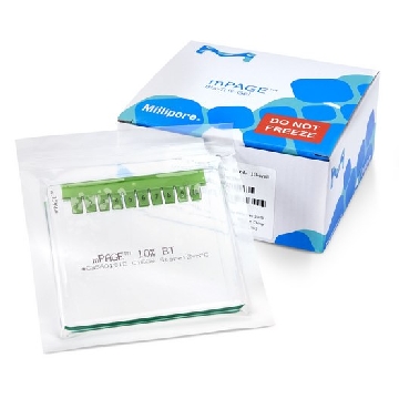 mPAGE® 12% Bis-Tris预制凝胶，1EACH，MP12W10，密理博