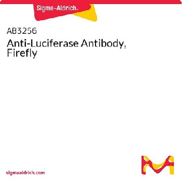 Anti-Luciferase Antibody, Firefly，100UL，AB3256-100UL，Sigma