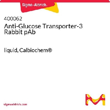 Anti-Glucose Transporter-3 Rabbit pAb，50UG，400062-50UGCN，Sigma