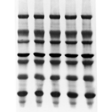 Immobilon-PSQ PVDF 膜，ISEQ00010，密理博，默克，Merck