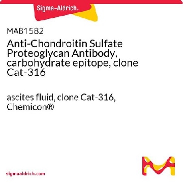 Anti-Chondroitin Sulfate Proteoglycan Antibody, carbohydrate epitope, clone Cat-316，100UL，MAB1582，Sigma