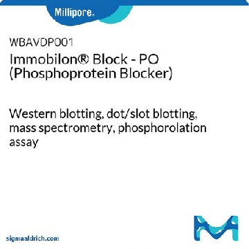Immobilon® 封闭液 - PO（磷蛋白封闭液），1EA，WBAVDP001，密理博