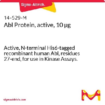 Abl Protein, active, 10 µg，10UG，14-529，Sigma