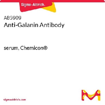 Anti-Galanin Antibody，50UL，AB5909，Sigma
