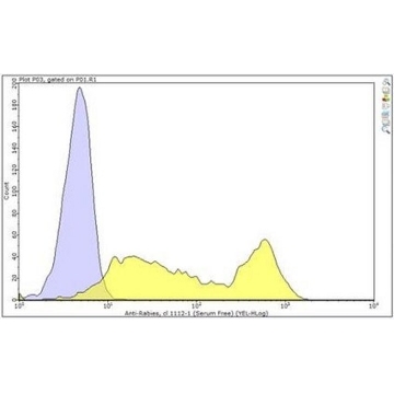 Anti-Rabies Virus Antibody, Serum Free Antibody, clone 1112-1，100UG，MABF949-SF-100UG，Sigma