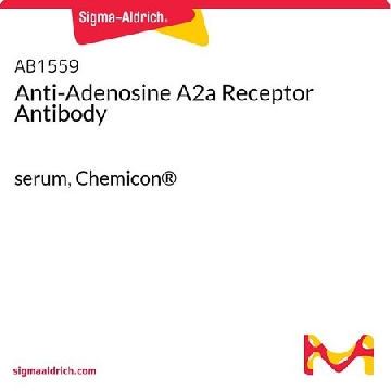 Anti-Adenosine A2a Receptor Antibody，50UL，AB1559，Sigma