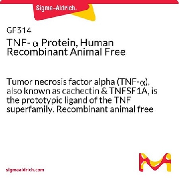 不含人重组动物的TNF- α蛋白，50UG，GF314，Sigma