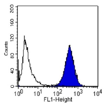 Anti-Integrin α2 Antibody, clone P1E6, azide free，100UG，MAB1950Z，Sigma